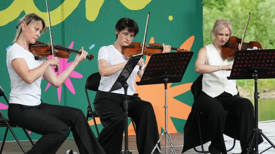 Фото: vk.com/Парки мунципального округа Чехов