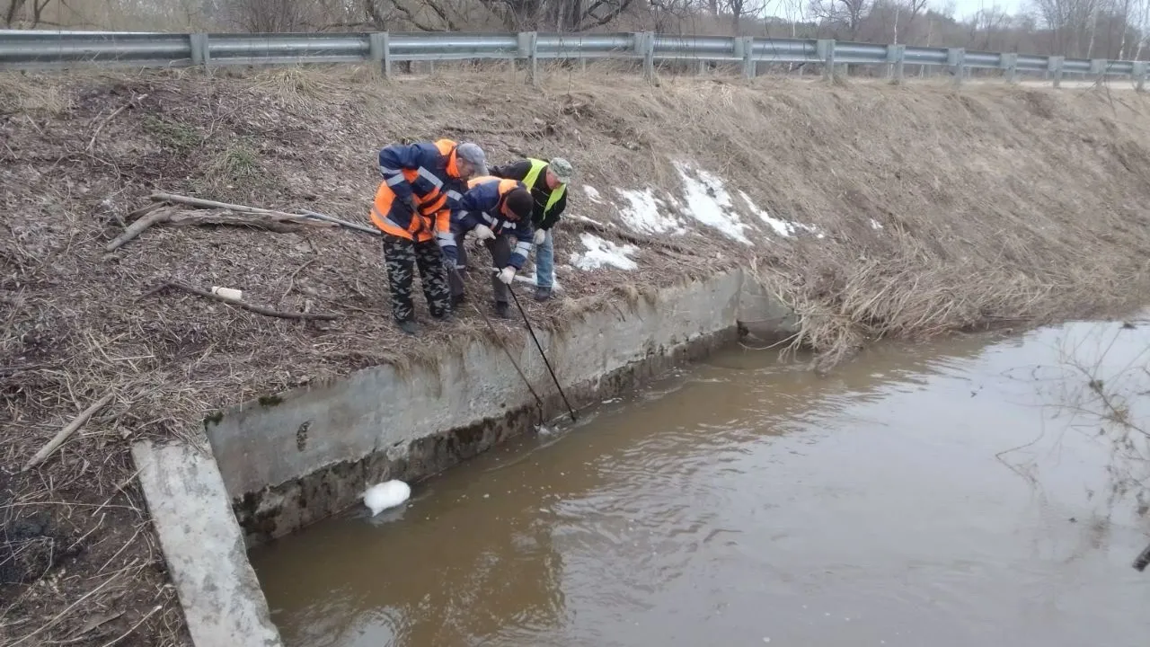 Фото: vk.com/Администрация городского округа Истра