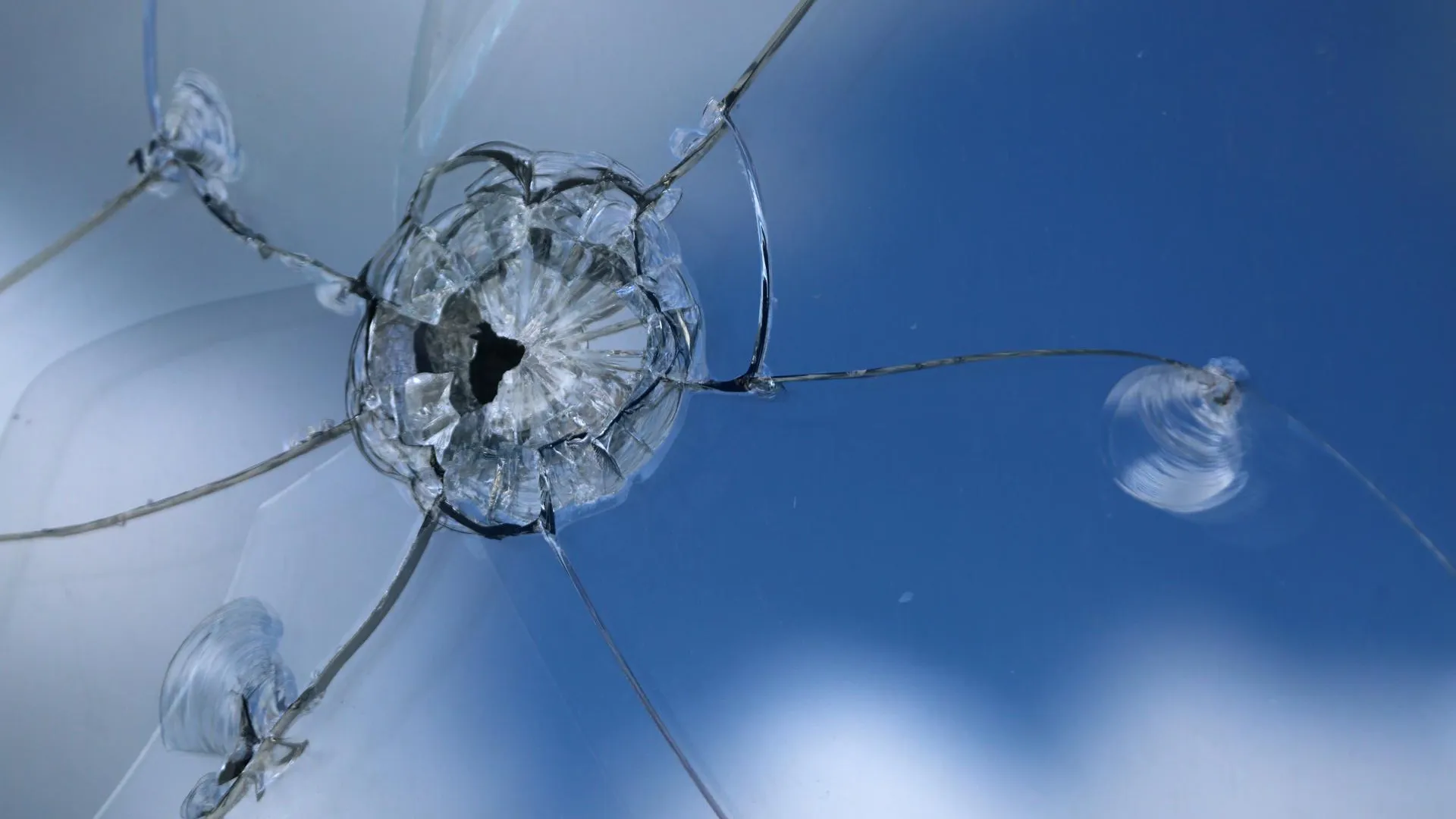 Nikolay Gyngazov/Global Look Press