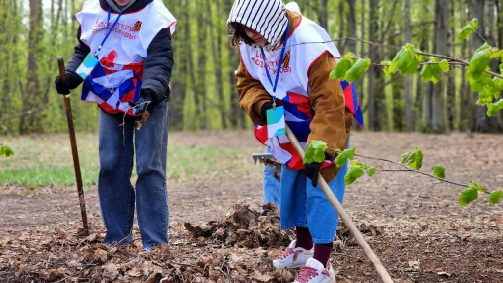 Фото: REGIONS/Полина Пахомова