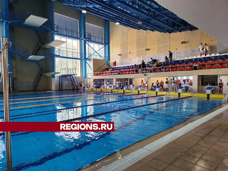 Фото: Светлана Плотникова