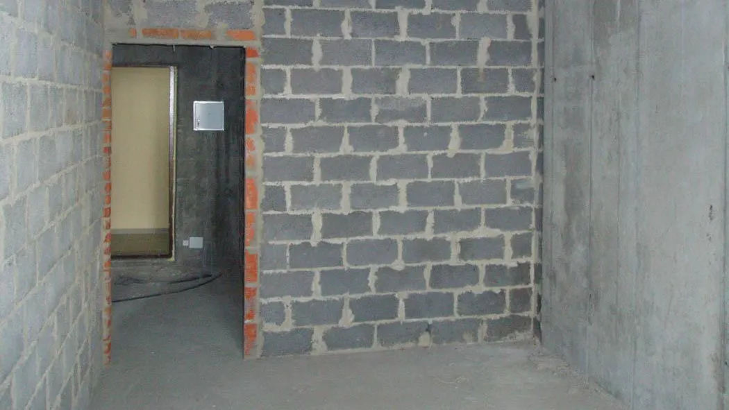 Фото: Дмитрий Кравцов