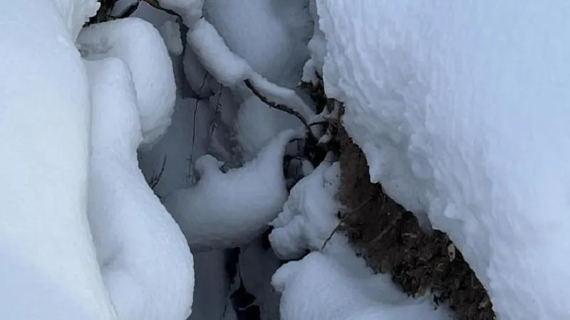 Министерство экологии и природопользования Московской области