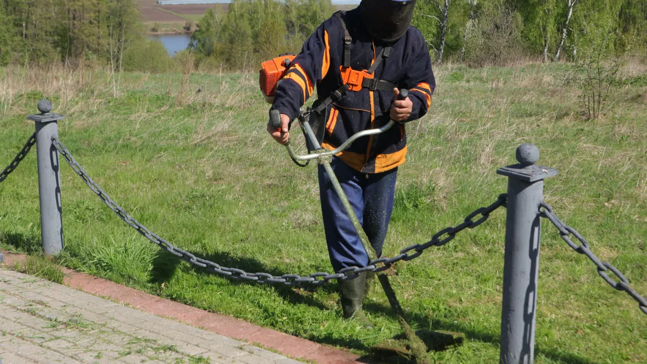 Фото: МедиаБанк Подмосковья/Мария Панина