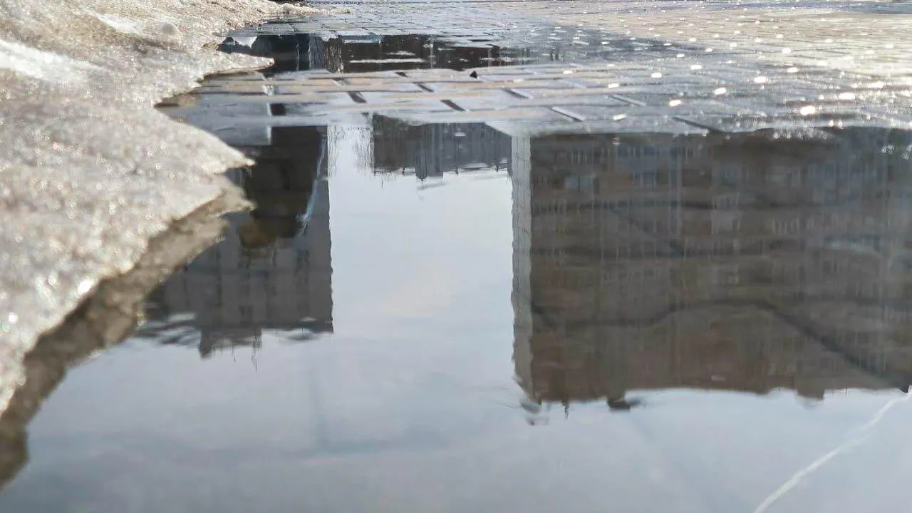 REGIONS/Роман Малышенко