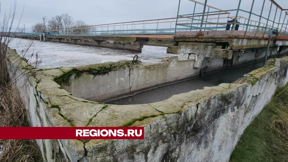 Фото: REGIONS/Валерий Гореловский