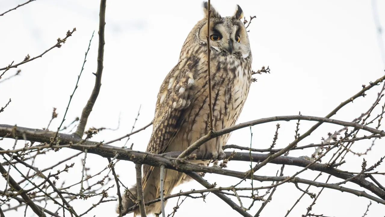 istockphoto.com/Sander Meertins