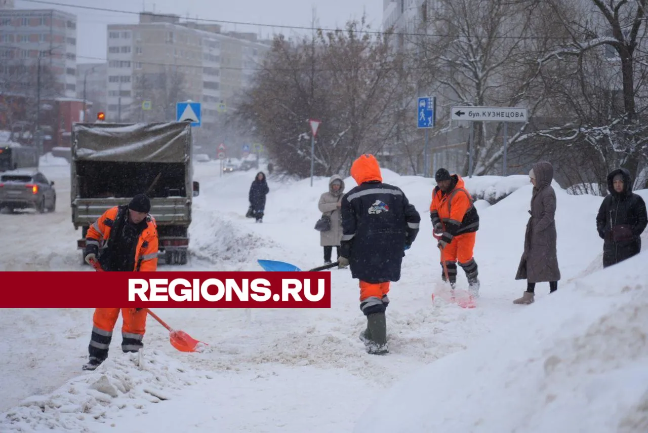 Фото: Дмитрий Зайчиков