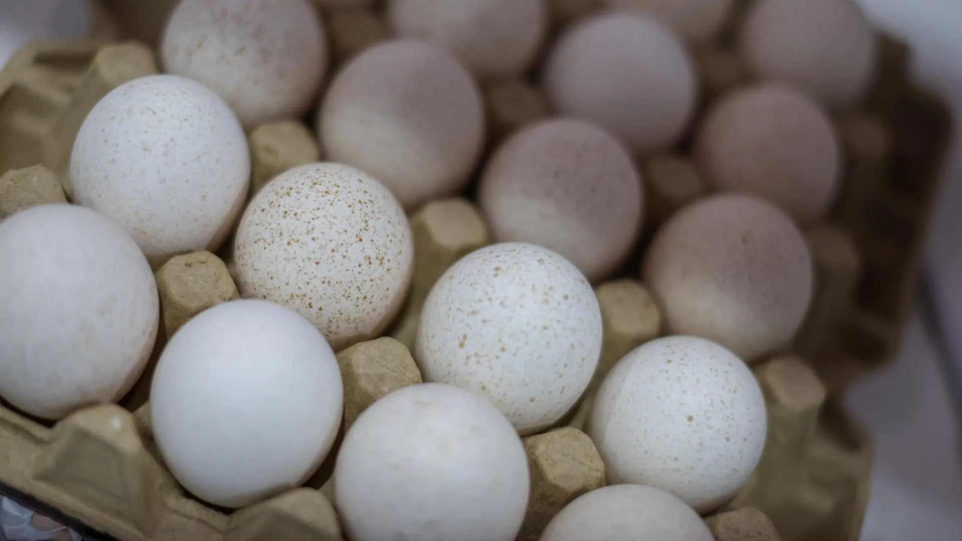 Belkin Alexey/news.ru