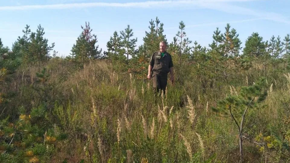 Фото: Комитет лесного хозяйства Московской области