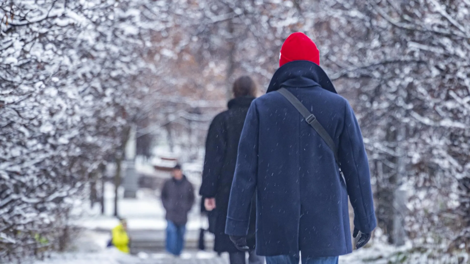 Konstantin Kokoshkin/Global Look Press