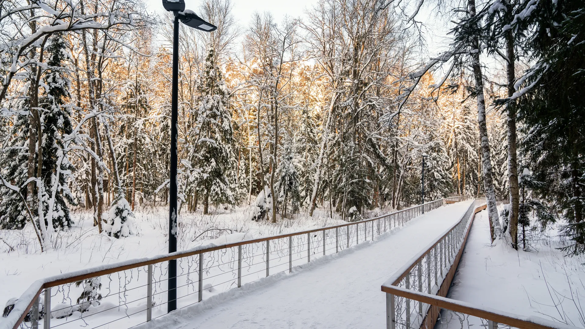 медиасток.рф