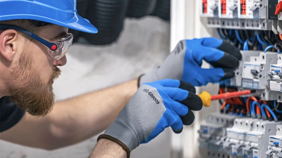 Фото: freepik.com