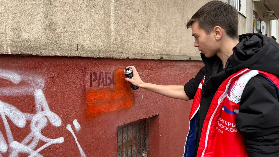 Фото: «Волонтеры Подмосковья» г.о. Жуковский