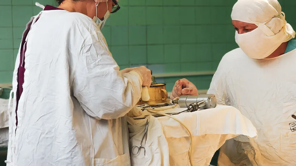 Фото: МедиаБанк Подмосковья/Мария Панина