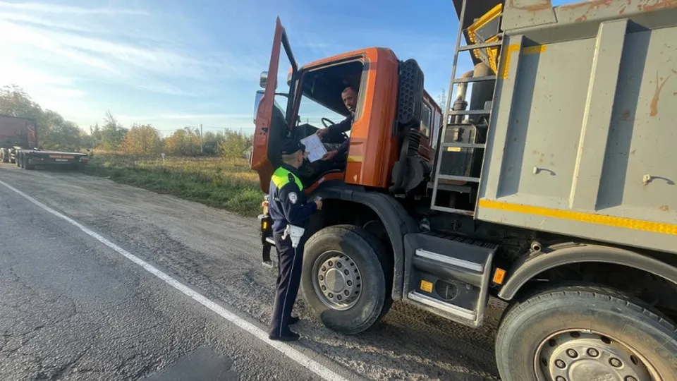 Фото: пресс-служба МУ МВД России «Ногинское»