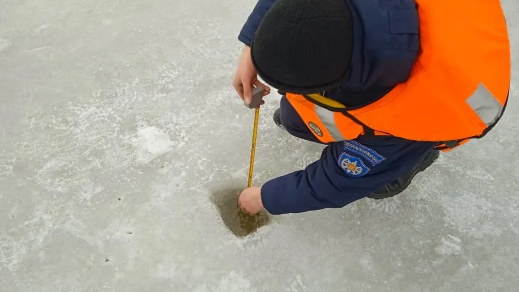 Фото: ГКУ МО «Мособлпожспас»