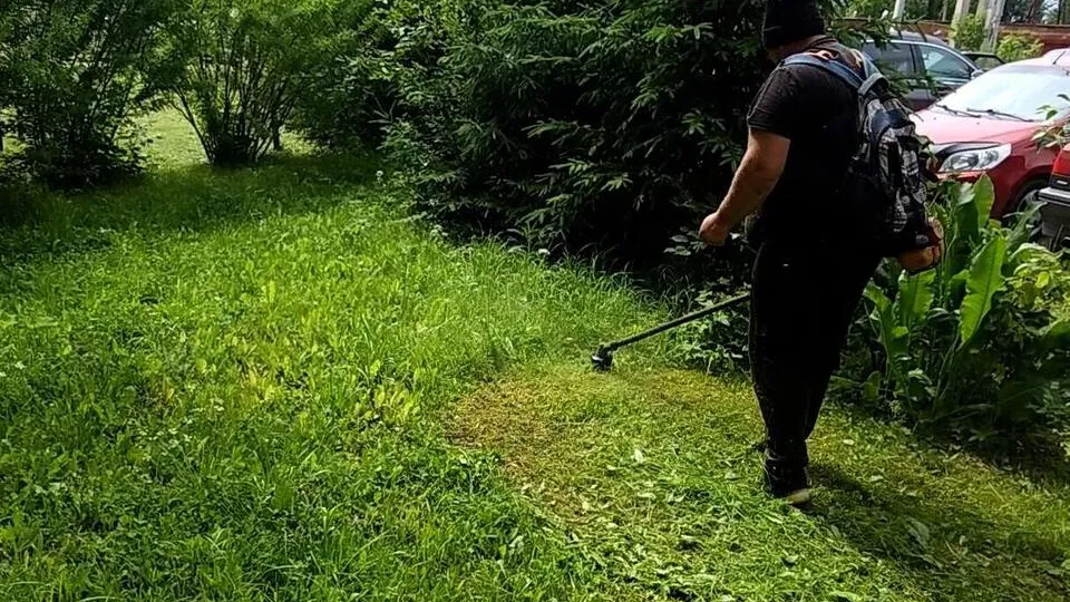 Фото: пресс-служба администрации г.о. Клин