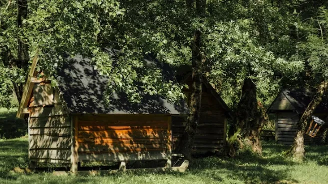 Фото: ru.freepik.com