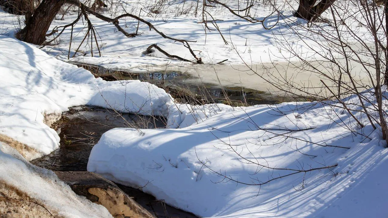 REGIONS/Дарина Левкина