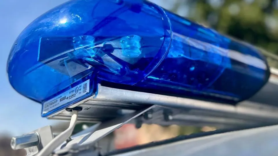 Источник фото: пресс-служба главного управления Росгвардии по Московской области