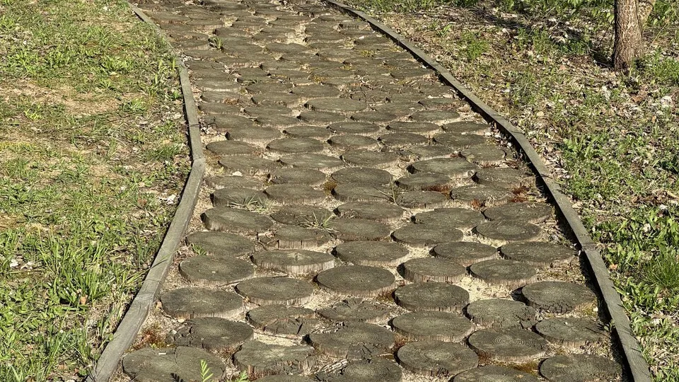 Фото: Марина Блакитная