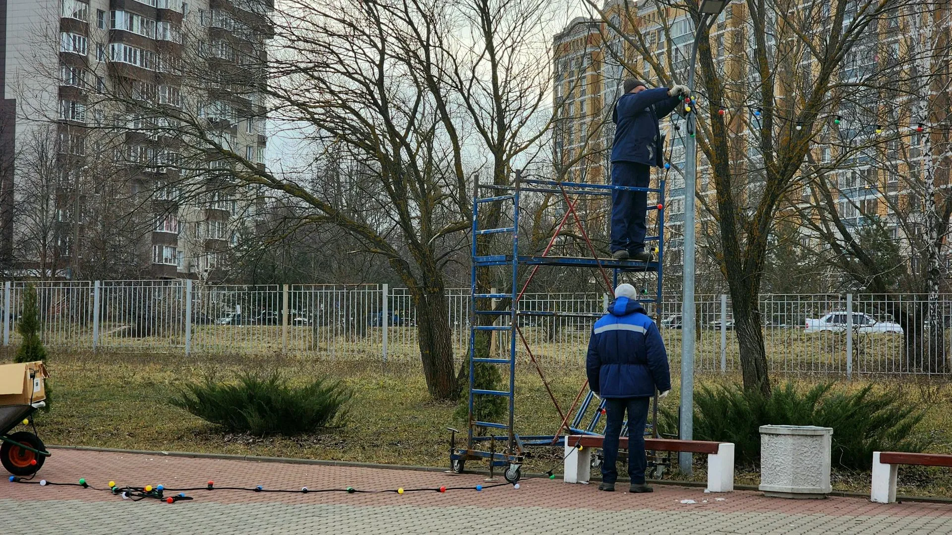 Фото: Мария Панина