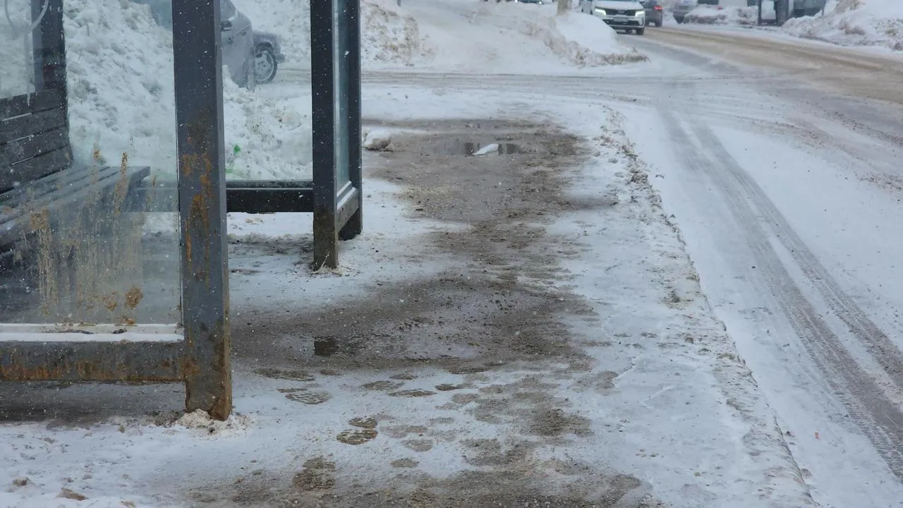 REGIONS/Роман Кутузов