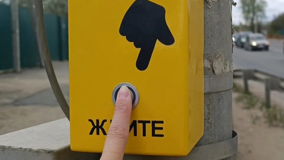 Фото: МедиаБанк Подмосковья/Екатерина Дятловская