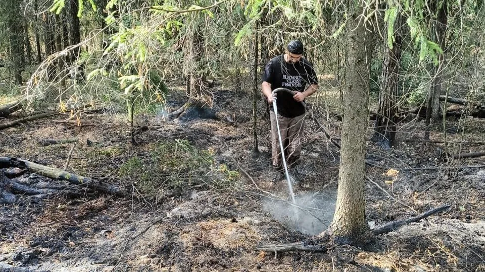 Фото: Комитет лесного хозяйства  Московской области