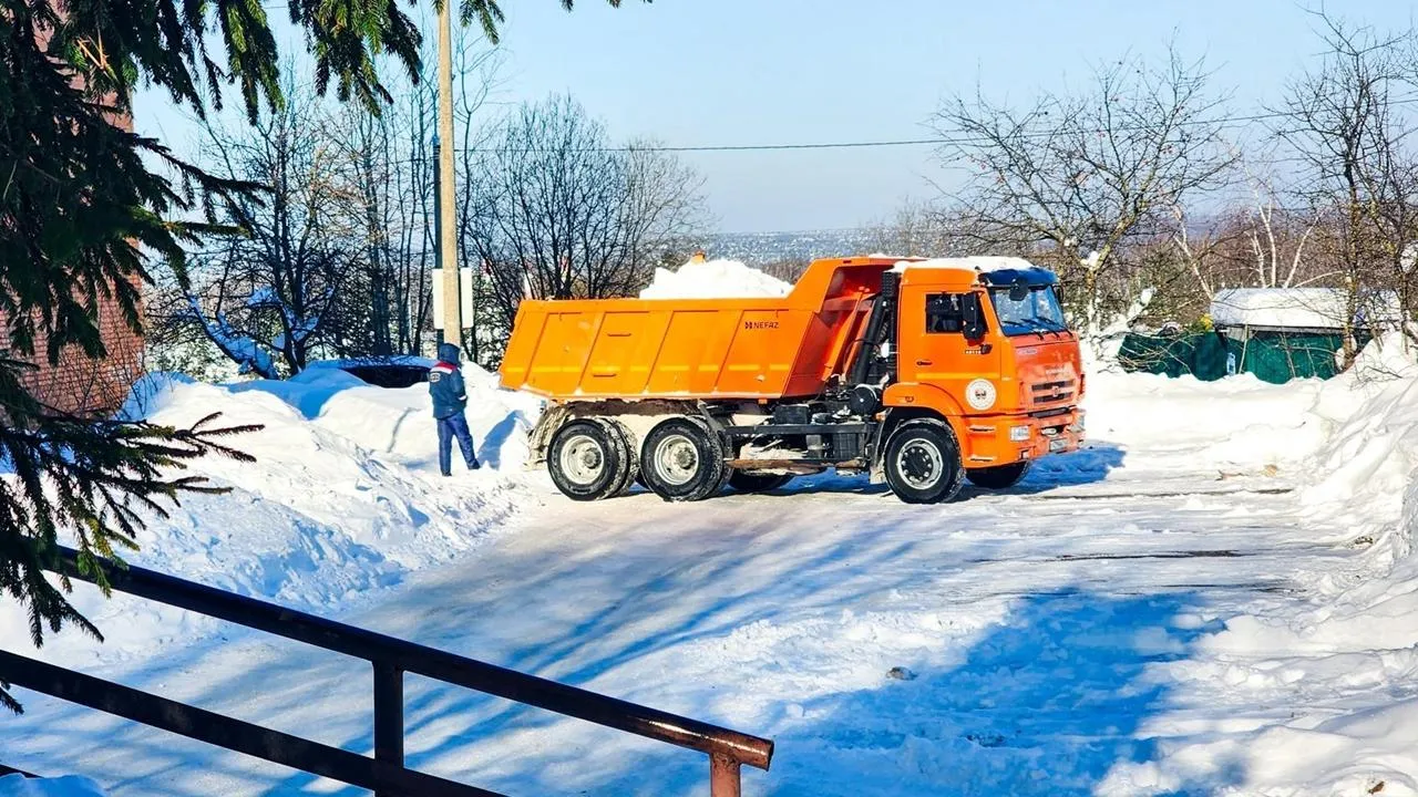 REGIONS/Мария Панина