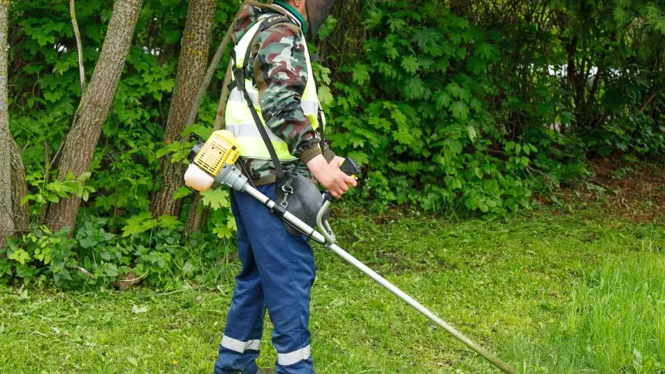 Фото: пресс-служба администрации г.о. Кашира