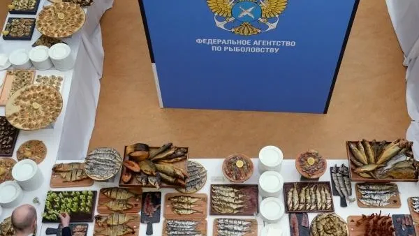 «Путина-2019» получила достойное завершение
