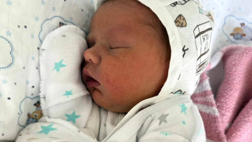 Фото: МОЦОМД