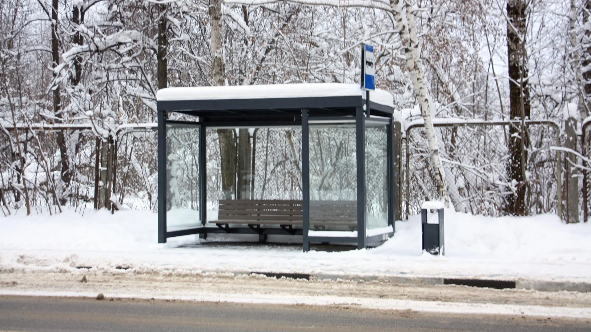 Фото: пресс-служба Минтранс Подмосковья