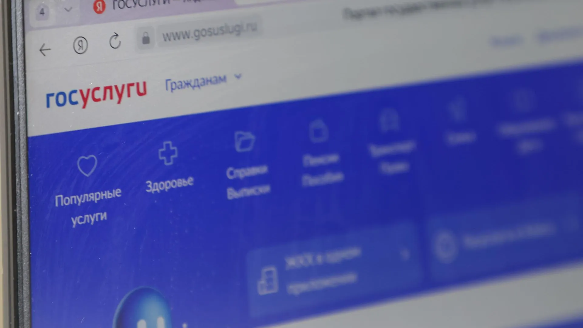 Belkin Alexey/news.ru