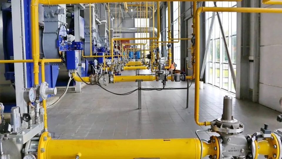 Фото: пресс-служба администрации г.о. Кашира