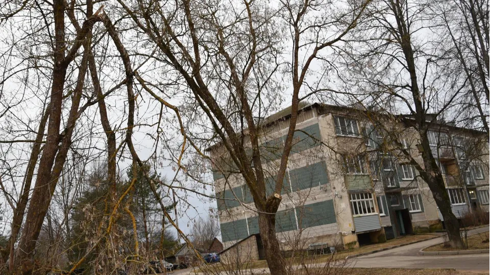 Фото: Владимир Останин