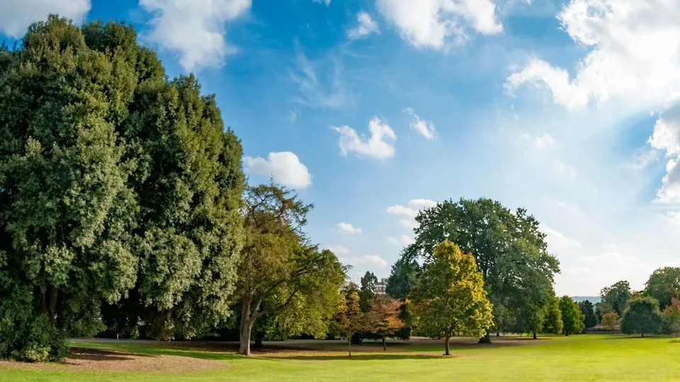 Фото: istockphoto.com