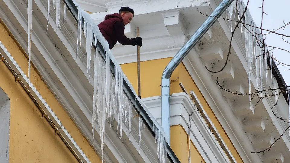 Фото: МедиаБанк Подмосковья/Светлана Плотникова