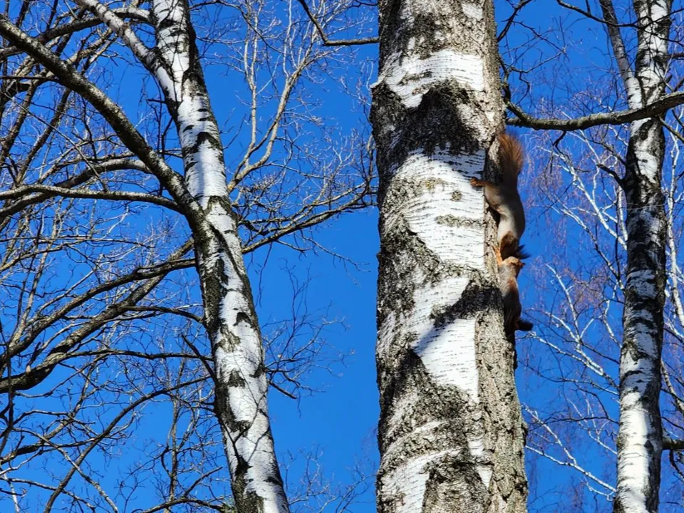 Фото: REGIONS/Наталья Дорошева