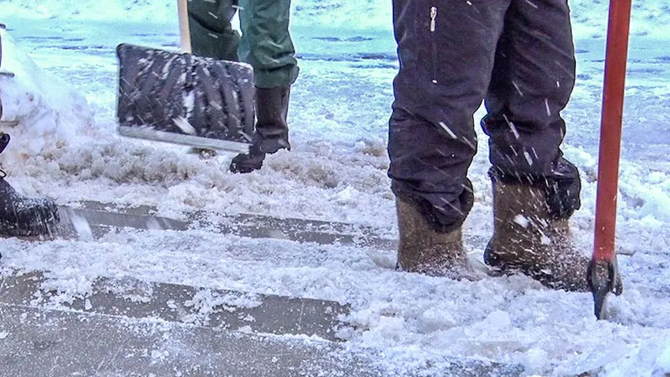 Фото: МедиаБанк Подмосковья/Данила Кирьянов