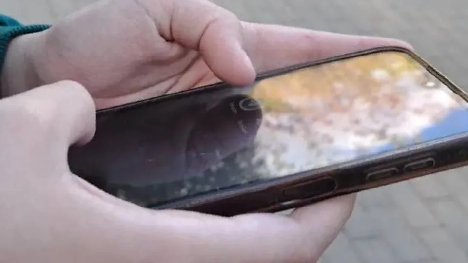 Фото: REGIONS/Татьяна Юзенас