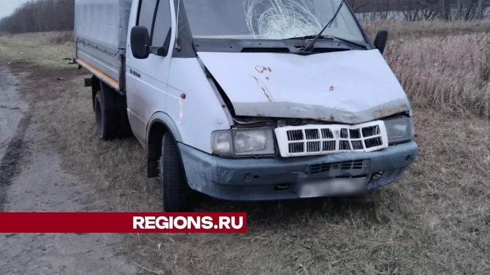 Фото: REGIONS/Александр Дрожжин
