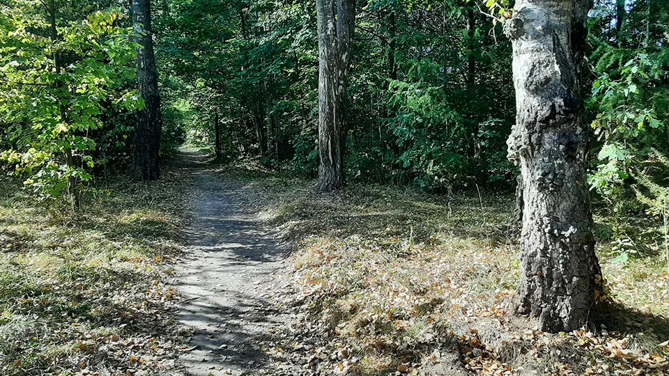 Фото: Комитет лесного хозяйства Московской области