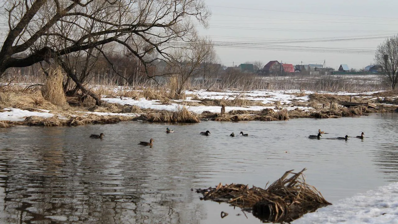 медиасток.рф