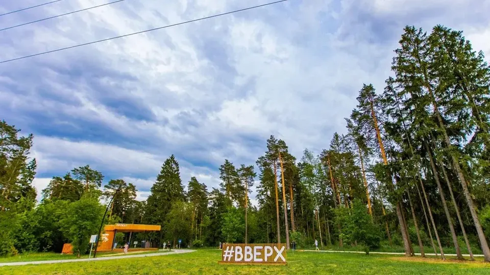 Фото: Министерство благоустройства Московской области