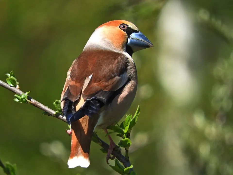 Фото: личный архив Ирины Столяровой&nbsp;