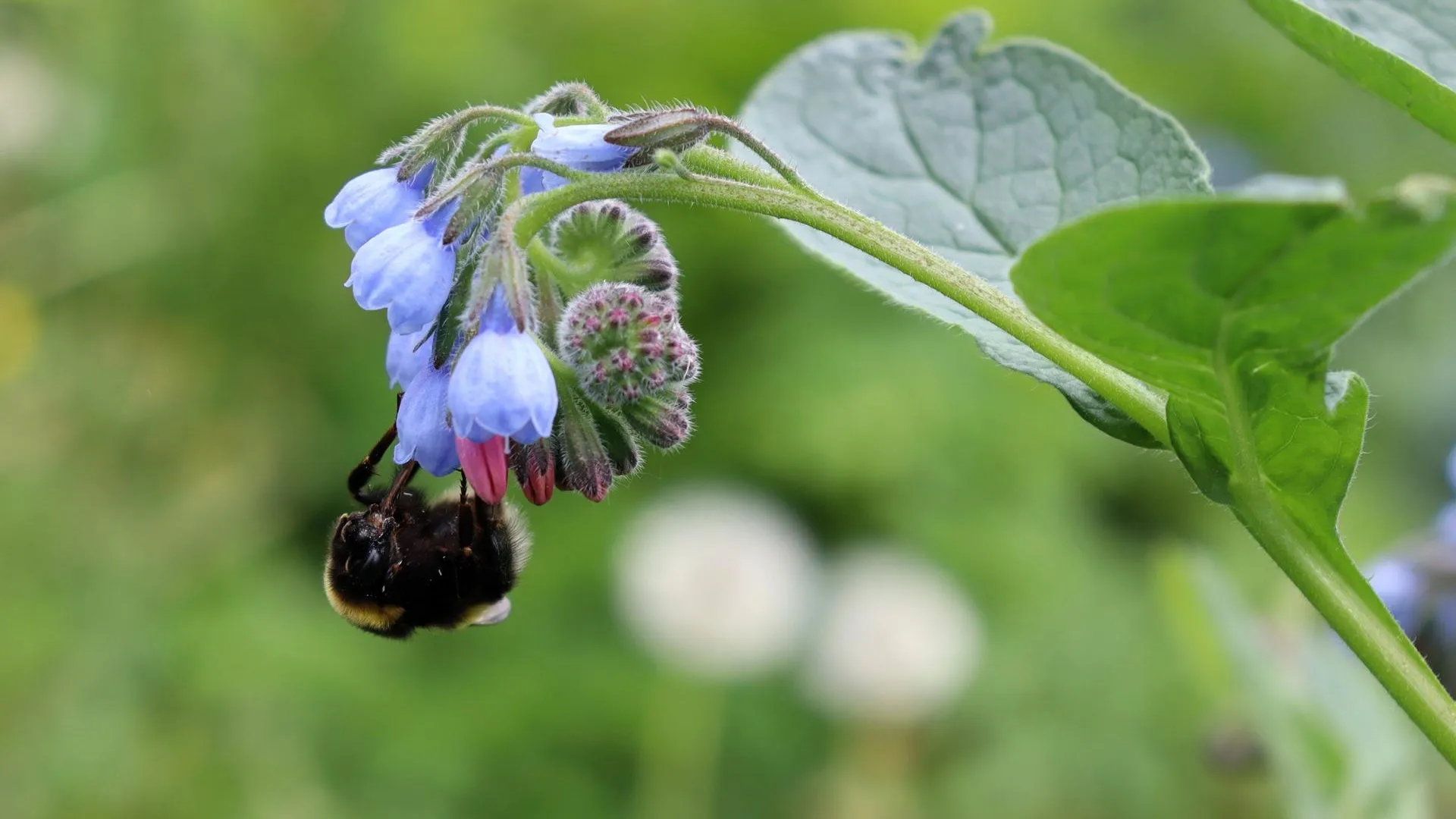 Министерство социального развития Московской области