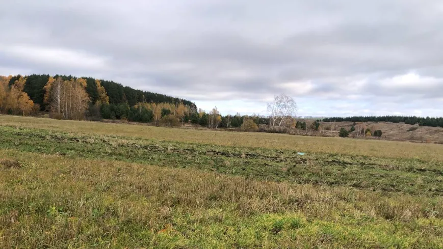 Комитет по конкурентной политике Московской области